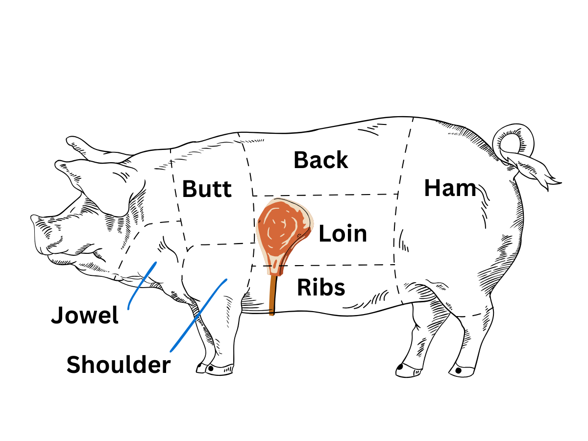 diagram of cuts of pork emphasizing location of the tomahawk pork chop